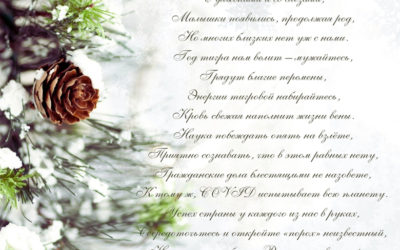 30.12.2021. Новогоднее поздравление академика В.П. Мельникова